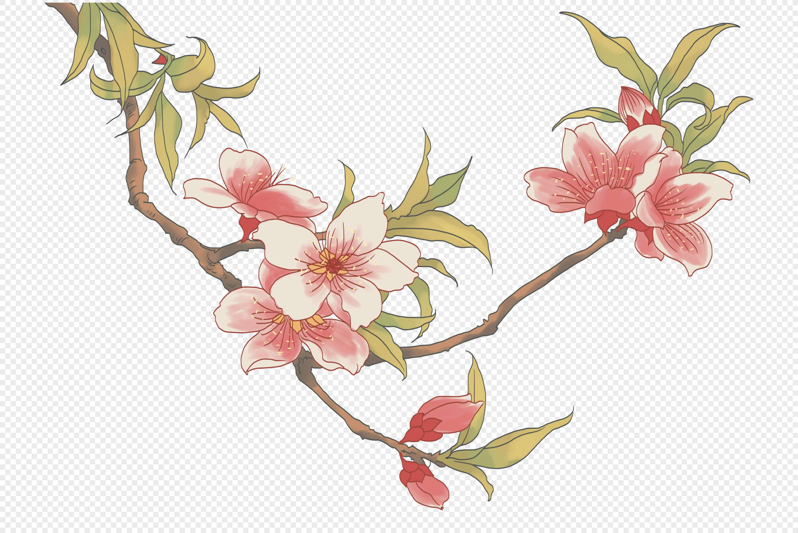 中国风桃花国画