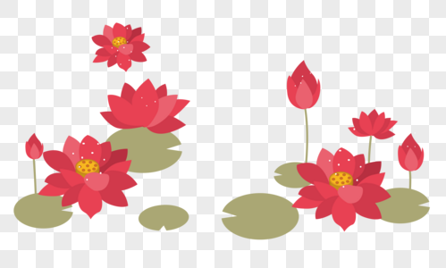 中秋节花卉图片