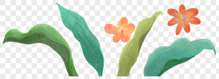 手绘水彩植物图片
