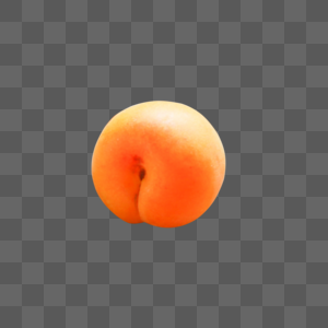 杏子图片