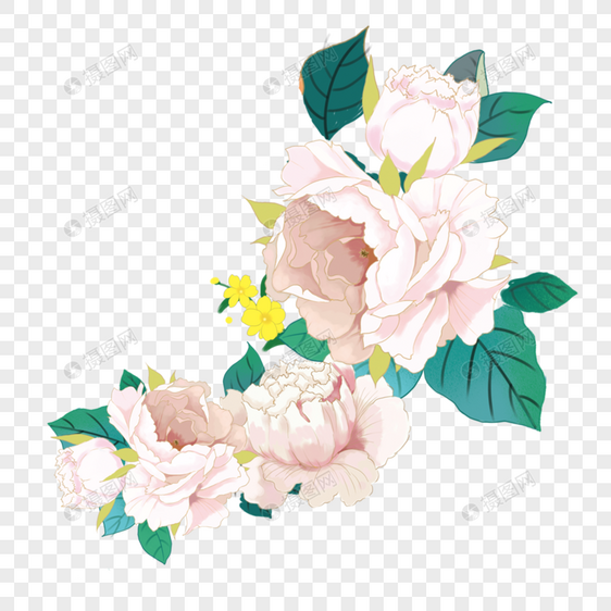 清新牡丹花卉图片