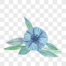 蓝色花朵叶子组合图片