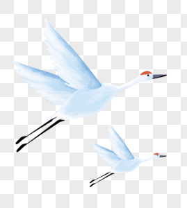 白鹭手绘飞翔白色鸟高清图片