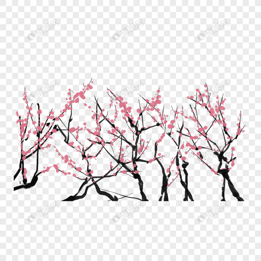 梅花植物小雪高清图片素材