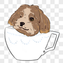 茶杯宠物狗图片