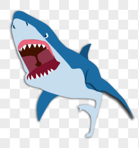 鲨鱼海洋生物鲨鱼肚高清图片