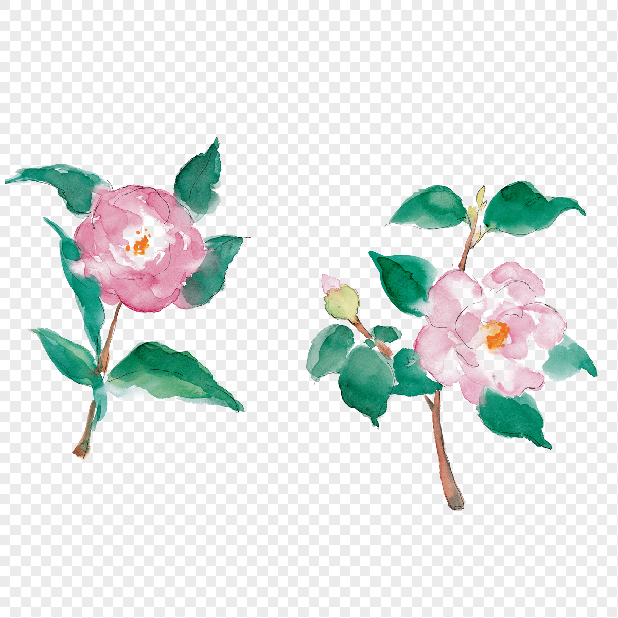山茶花元素素材png格式_设计素材免费下载_vrf高清图片400567224_摄图