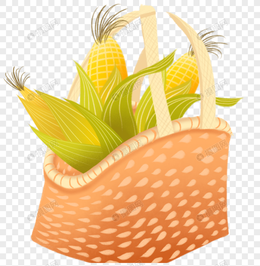 玉米框图片
