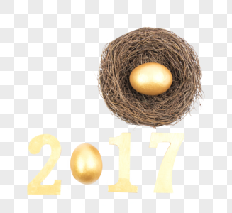 2017和鸟窝鸡蛋摆拍图片