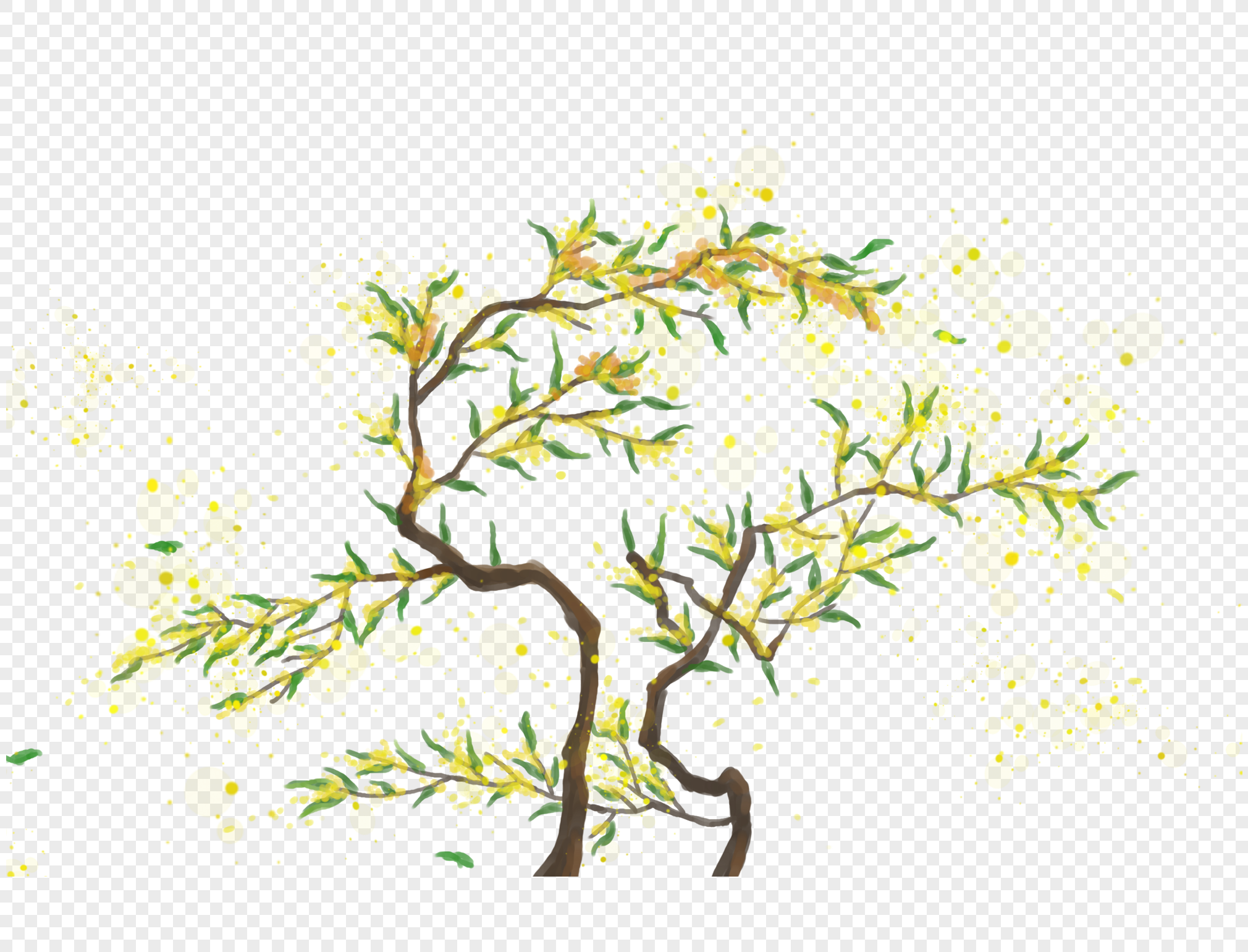 桂花树元素素材png格式_设计素材免费下载_vrf高清_摄