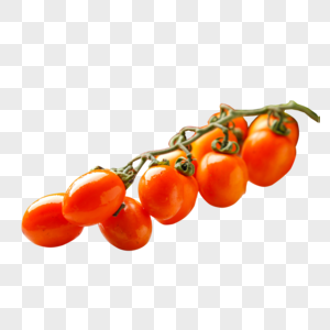西红柿凉拌西红柿高清图片