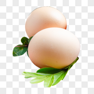 鸡蛋青椒炒鸡蛋高清图片