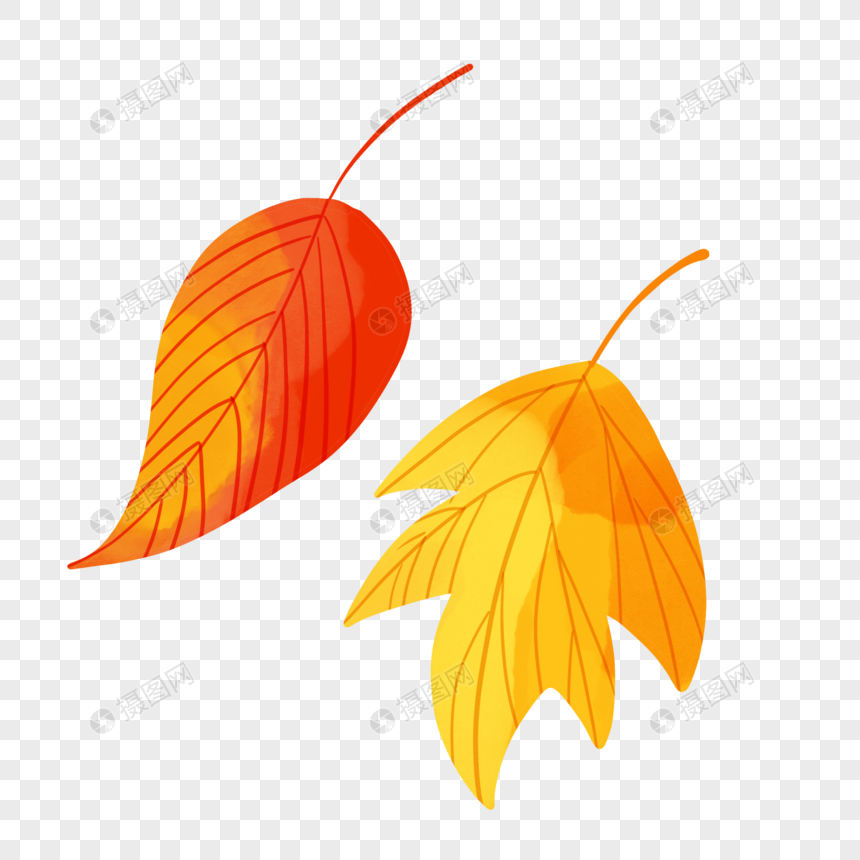 秋季叶子图片
