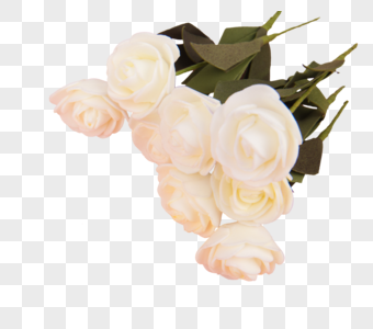 白玫瑰白玫瑰花束高清图片