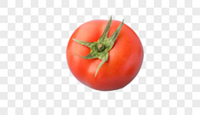 番茄一个图片