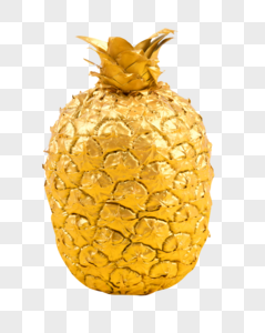 金色的菠萝图片
