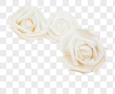 白玫瑰元素 免抠素材 Png图片下载 摄图网