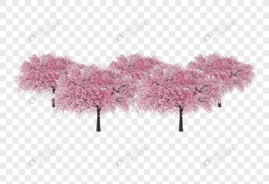 该  元素素材 标题为          樱花树,编号: 400710211,格式: psd