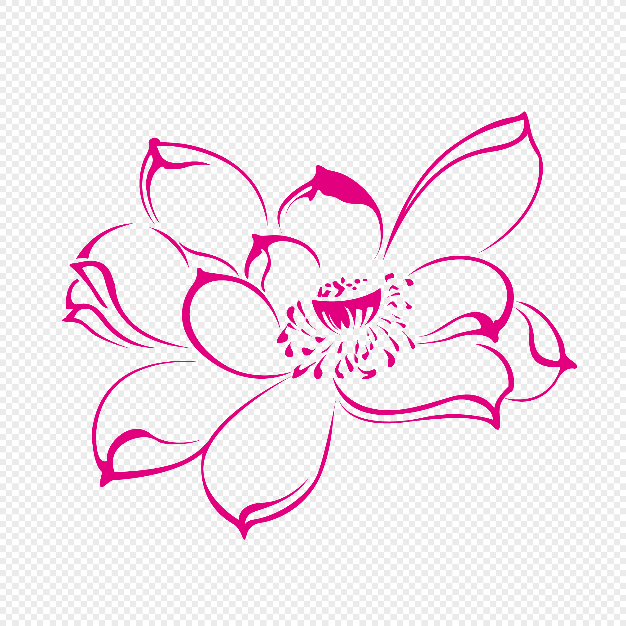 一朵莲花