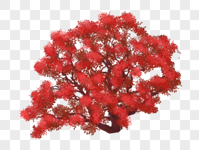 红色树木图片