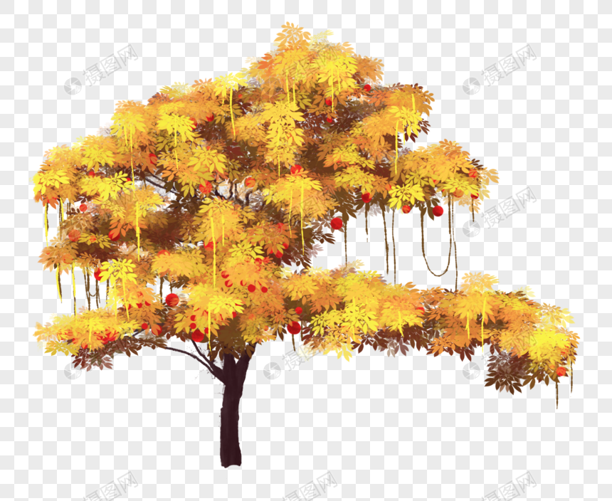 金黄色的树图片