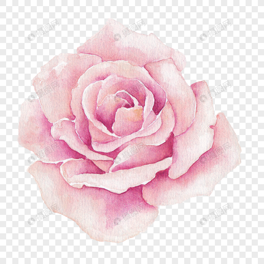 粉色手绘牡丹花元素psd