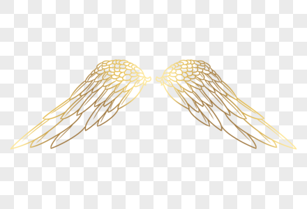 金色翅膀羽毛翅膀高清图片