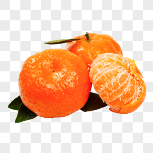 小橘子南丰桔砂糖橘高清图片