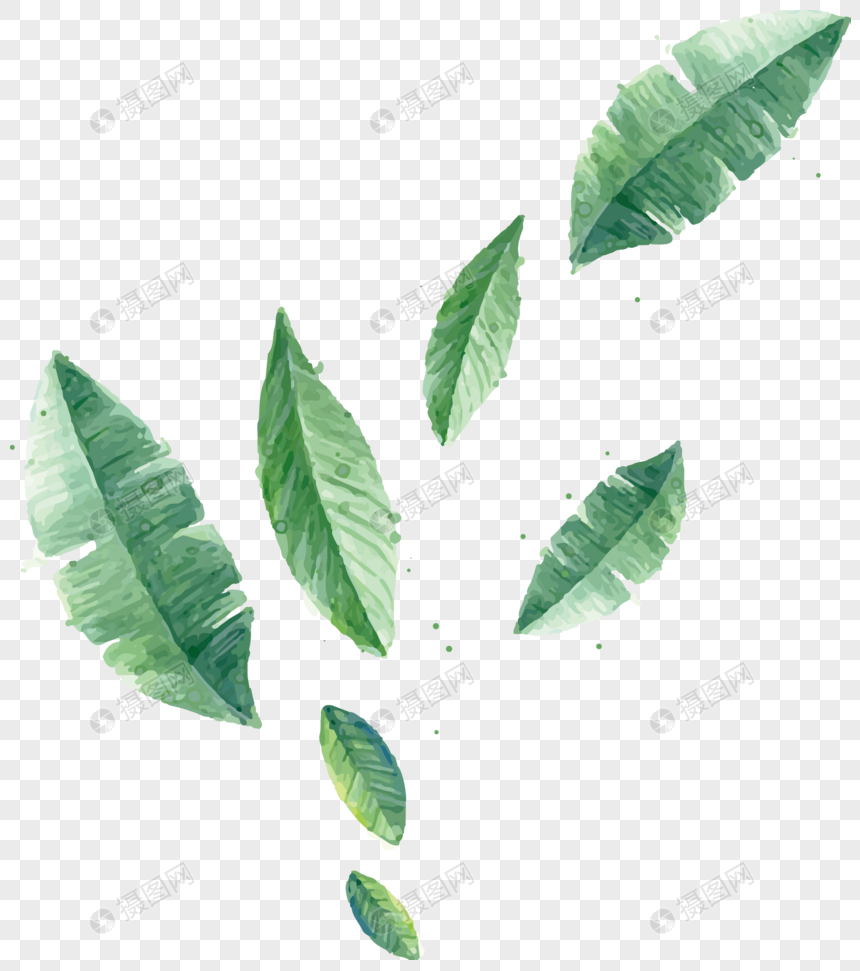 植物涂鸦绿色叶子插画