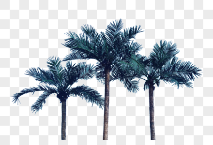 椰子树叶矢量绿色树叶高清图片