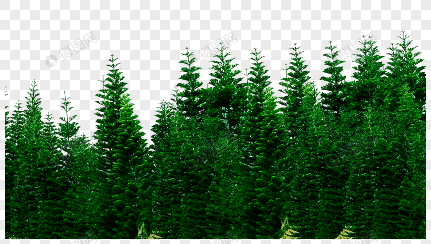 松树林元素素材png格式_设计素材免费下载_V