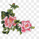 手绘牡丹花卉装饰元素图片
