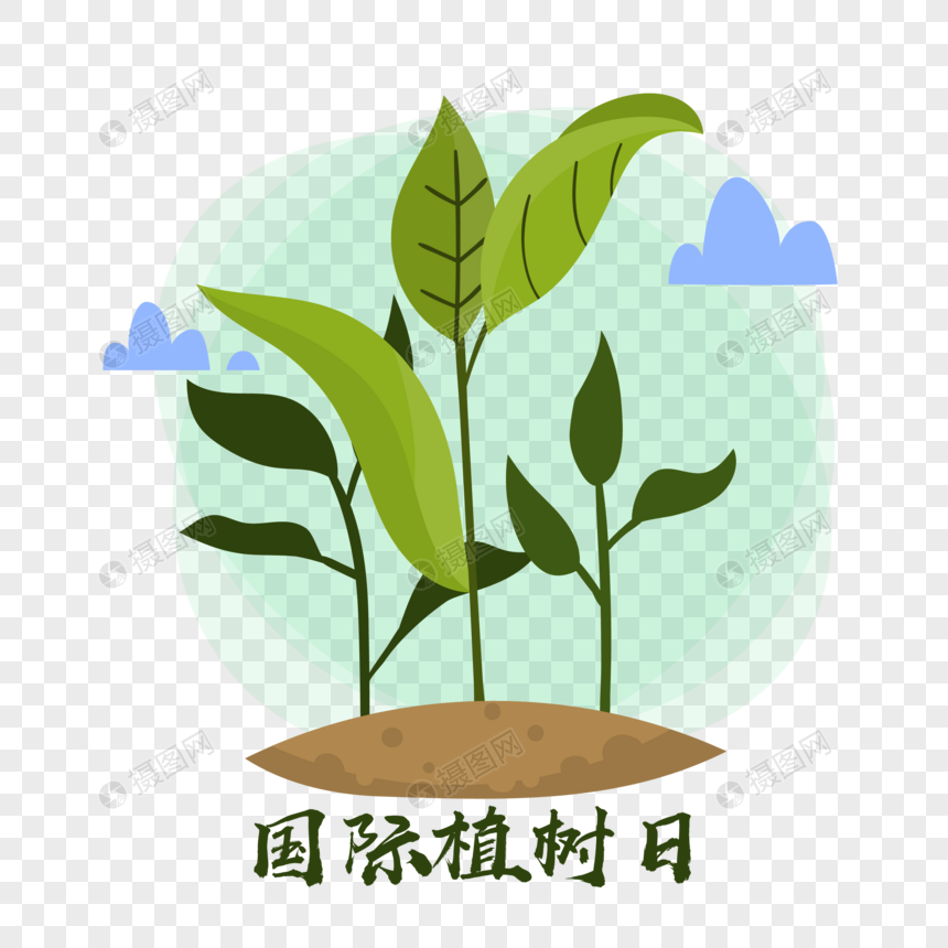 国际植树日图片