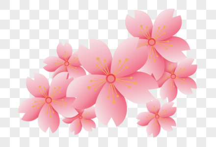 浪漫粉色樱花矢量花朵图片