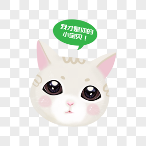 卖萌的小猫图片