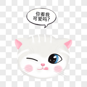 卖萌的小猫卖萌的小猫高清图片