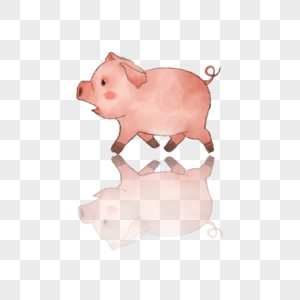 猪形象生肖高清图片素材
