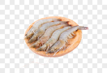 虾盘子水盆虾高清图片