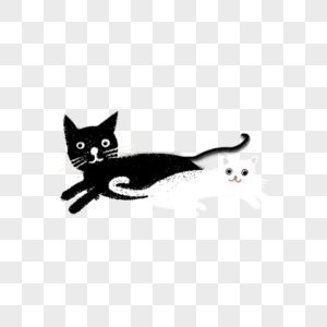 黑猫和白猫黑猫白猫高清图片