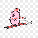 滑雪的猪图片