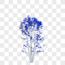 蓝色的小树图片