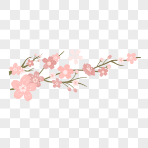 樱花植物俏枝头高清图片