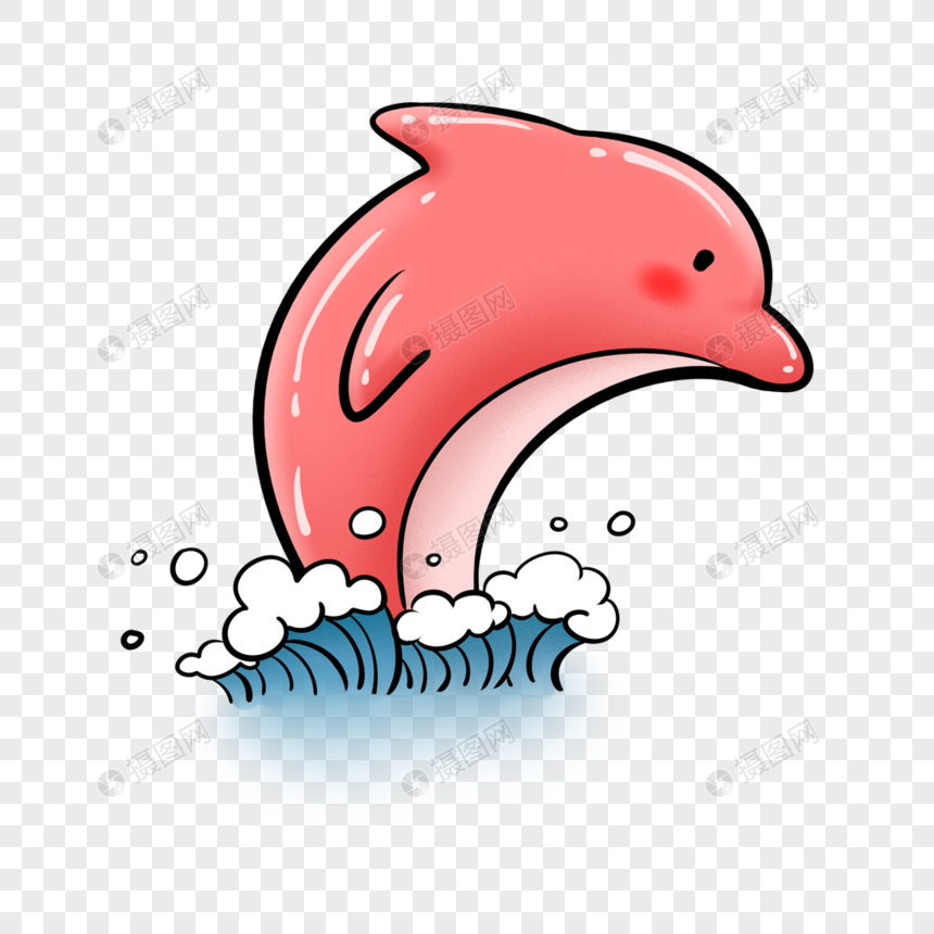 海豚