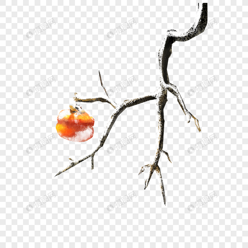 树杈上的果实图片