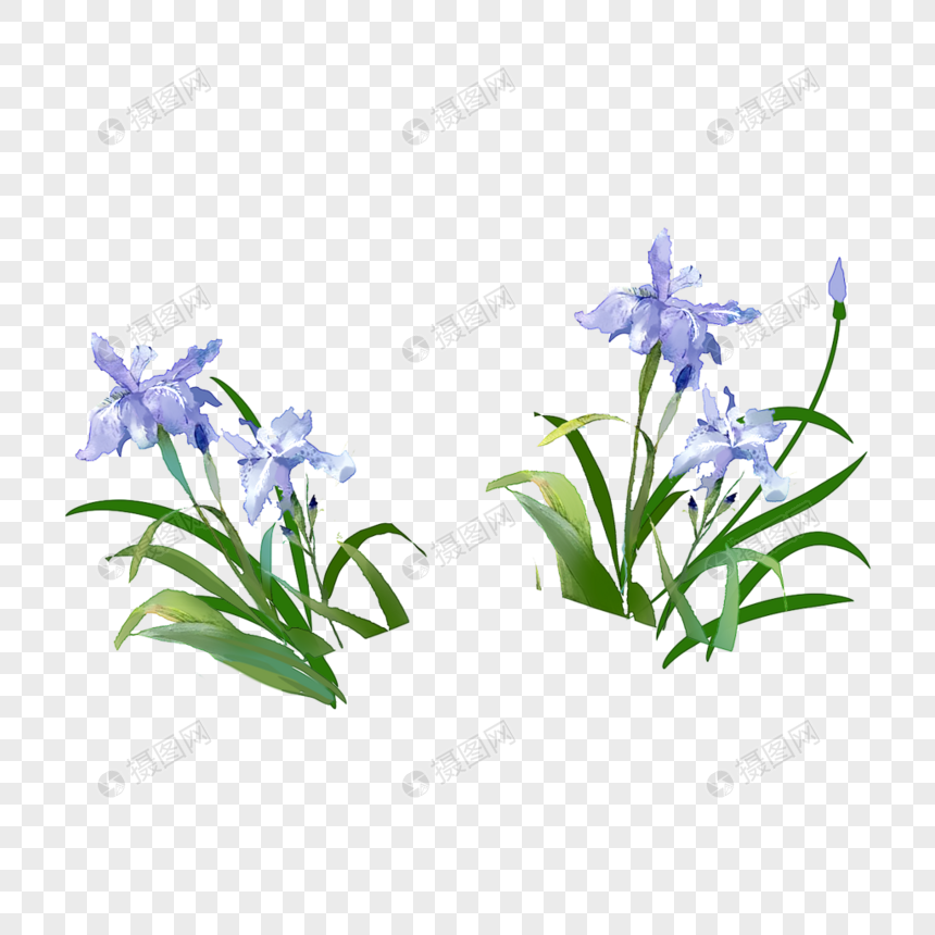 qq好友 微信朋友圈 qq空间 新浪微博  花瓣 举报 标签: 兰花兰花草
