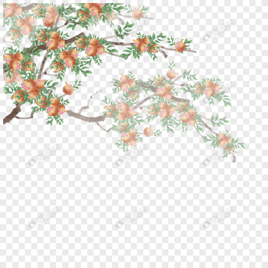 石榴枝