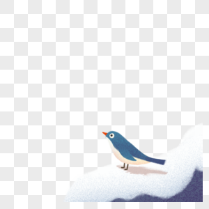 站着雪地里的小鸟高清图片