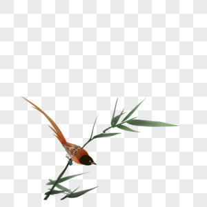 竹叶上的鸟图片