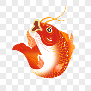 红锦鲤红鲤鱼素材高清图片