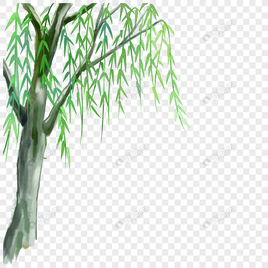 垂柳柳树清明节高清图片素材